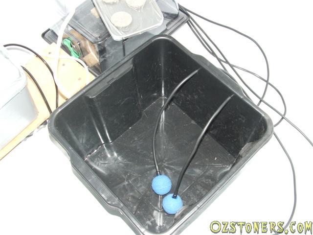 IPB Image